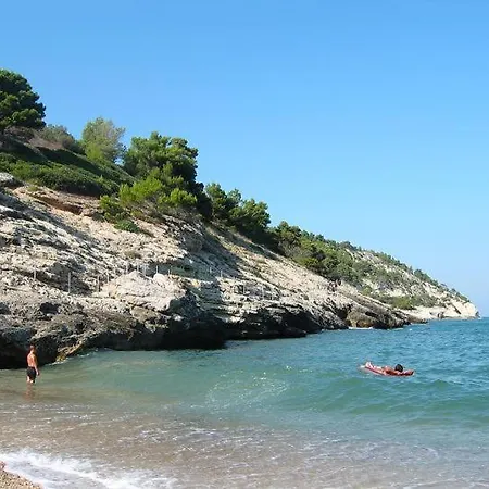 I Delfini - Pugnochiuso